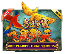 Bird Paradise-Flying Squirrels ปก1