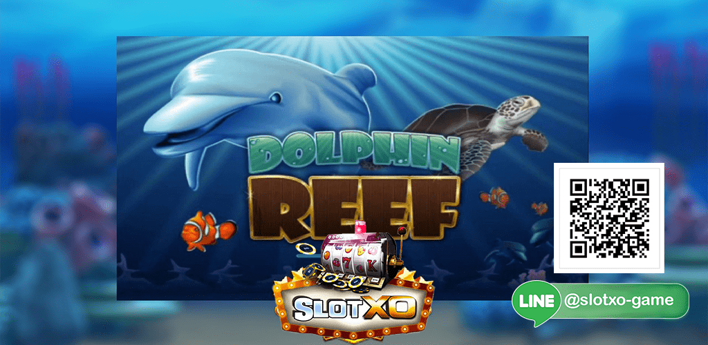 Dolphin Reef หน้าปก 3.jpeg