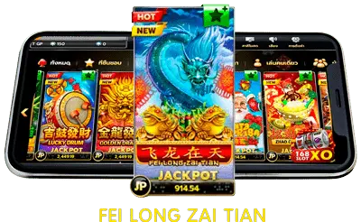 Fei Long Zai Tian 6