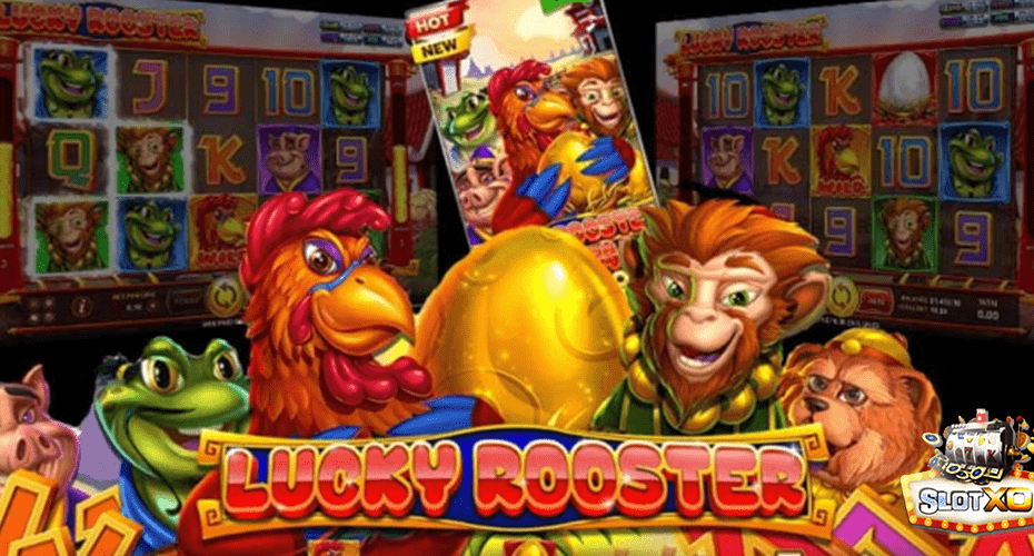 Lucky Rooster ปก3
