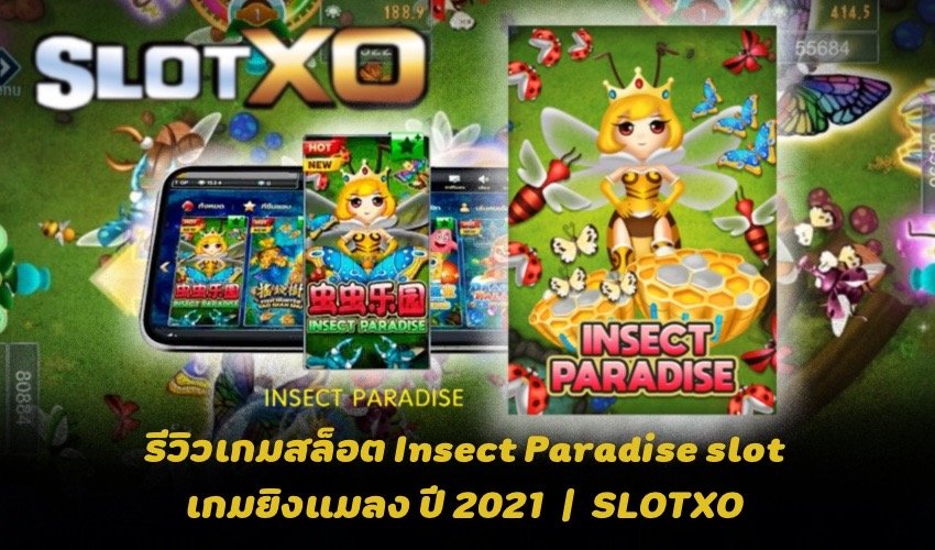 Insect Paradise slot