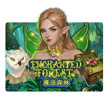 slotxo Enchanted Forest