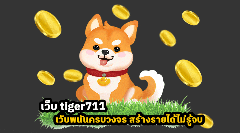 เว็บ-tiger711