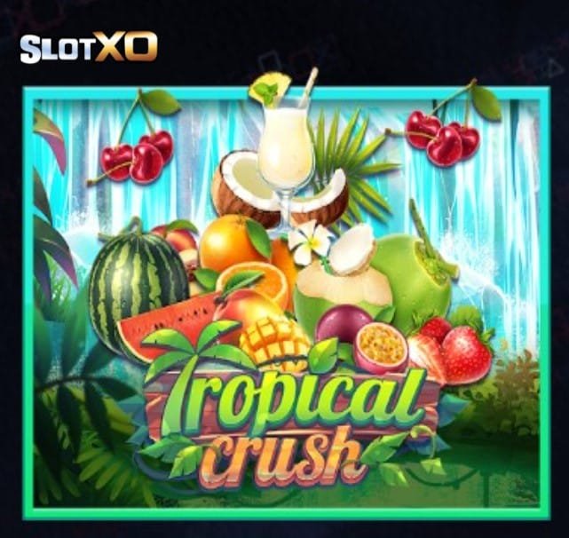 สล็อตxo มาใหม่ Tropical Crush